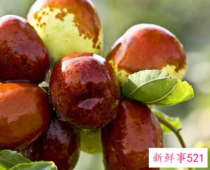 梦见偷枣有什么征兆