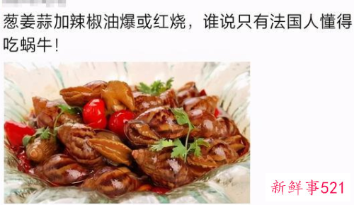 雨后路边出现的大蜗牛千万别碰