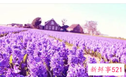 2022好运微信网名女