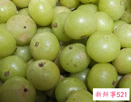 油柑果子该如何保存