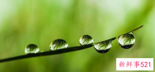 经典情感语录句句扎心