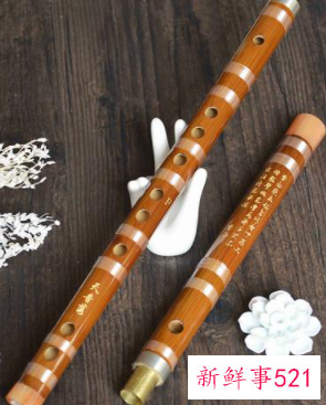 小孩入门学什么乐器好