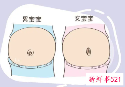 如何判断肚子里的宝宝是男是女