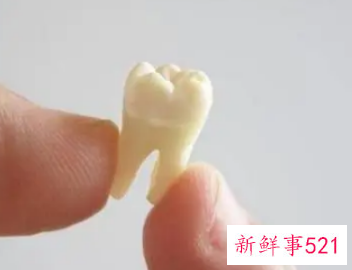 换牙期能吃糖吗