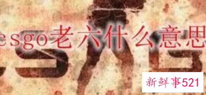 你个老六是什么意思