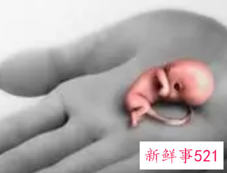 怀孕5个半月能打胎吗