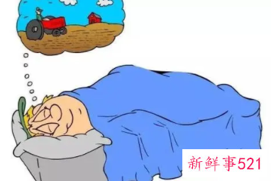 梦见凉鞋什么意思