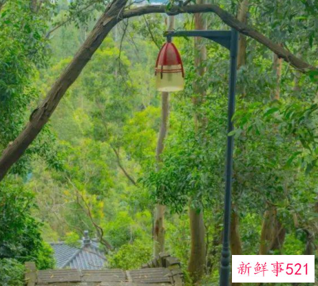 南山海边有休闲的地方吗