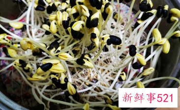 豆芽有啥营养价值