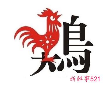 93年鸡女一生姻缘