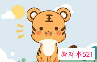 属虎的人2022年适合装修吗