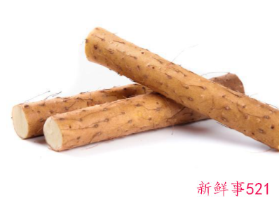 肾亏拿什么补效果最好