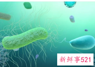 微生物生态学