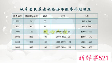 农村养老保险档次选择