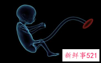 为什么同房后胎儿就不愿意动