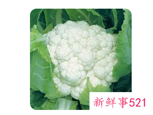 蔬菜维生素C素排行榜