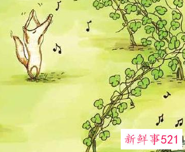 爱吃葡萄的小狐狸