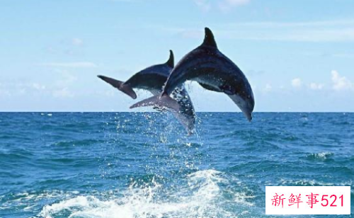 经典情感语录句句扎心