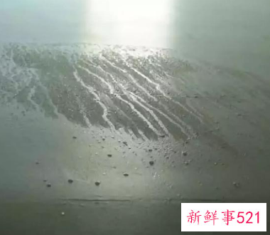 南风天潮湿的原因