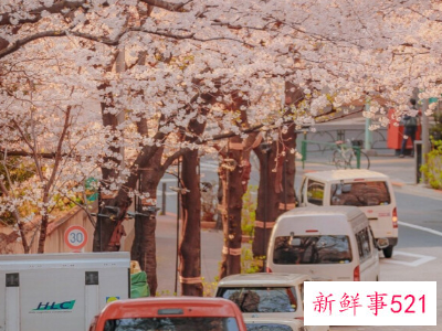 怎样低调做人不引人嫉妒