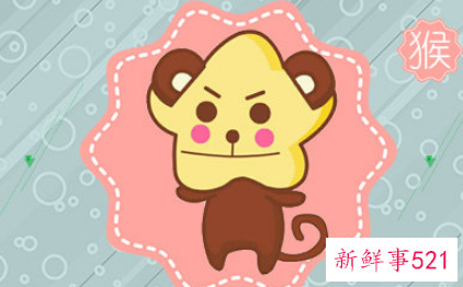 属猴与属蛇的婚配好不好