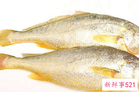 黄花鱼保鲜采用什么冷冻方式