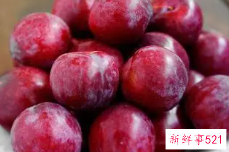 李子什么品种最好吃