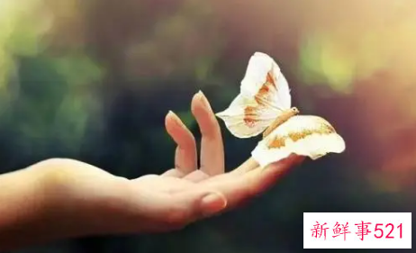 内心强大最高境界