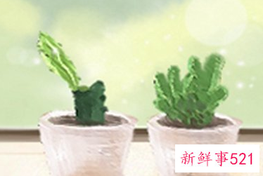 双鱼座是个怎样的好妻子