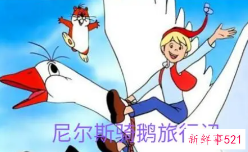 尼尔斯骑鹅旅行记读后感400字