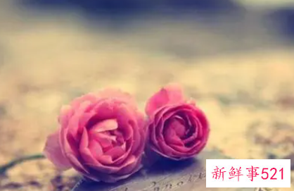 无性的爱情可以维持多久