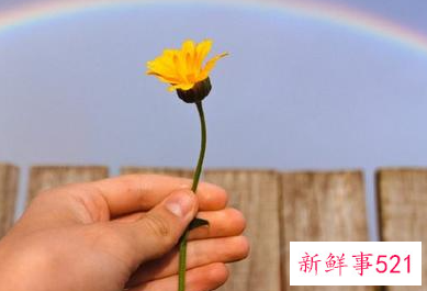 分手后的一星期