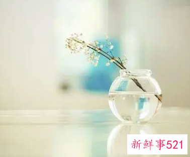 夸赞女人美丽有气质的句子