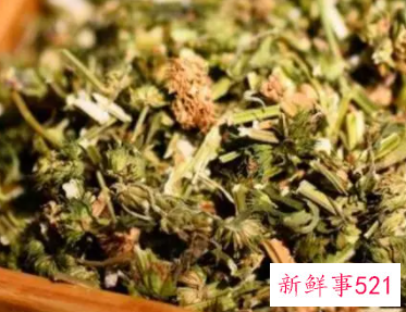 益母草水一般喝几天