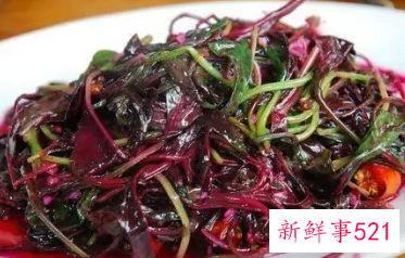 血皮菜的功效与作用