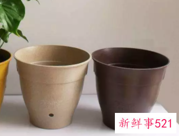 养花用的花盆应该怎么选择