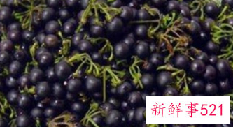 龙葵果泡酒有什么功能