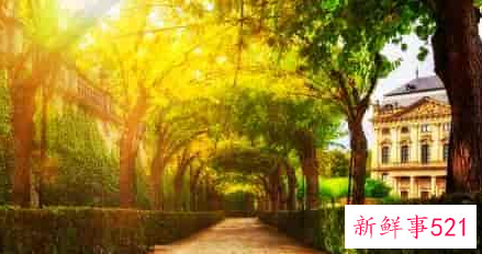 孕妇梦见自己被别人追杀是什么意思