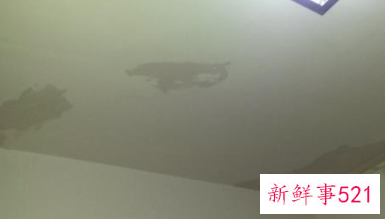 下雨买房子吉利吗