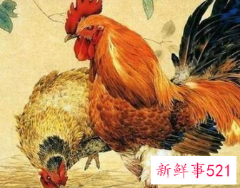 属鸡的床要放在哪个位置