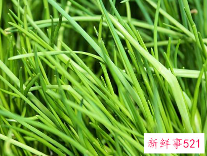 韭菜不能和什么同食