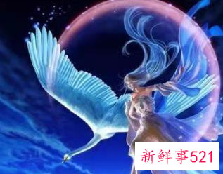 最勤劳喜欢打扫整理的星座