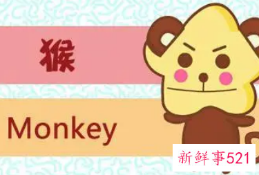 男兔女猴属于上等婚姻