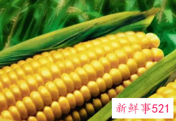 玉米的维生素含量高吗