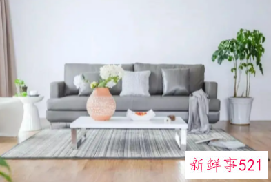 室内怎么去除异味