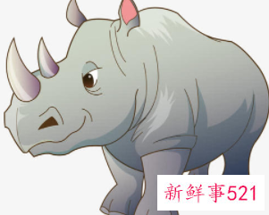 充满乐趣的童话故事请问你是犀牛吗