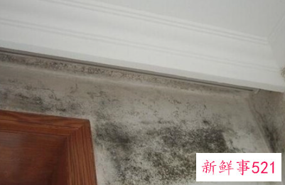 墙角有一块一直是湿的