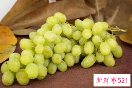 孕妇梦见吃青提子生男生女