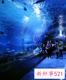 适合小孩玩的地方是哪里呢