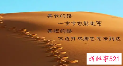 什么是努力什么是坚持